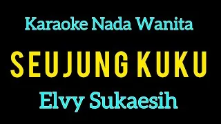 Thumbnail: KARAOKE - SEUJUNG KUKU - ELVY SUKAESIH - NADA WANITA
