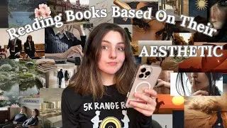Thumbnail: Reading Books Based On Their Aesthetic 🕰️🧚 (ft. Maya Venice)
