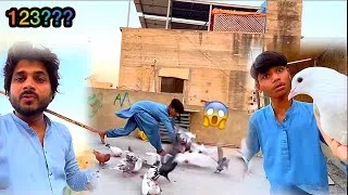 Thumbnail: Vip Naye Kabootar Pakar liye bhut piyary @armanbirds 