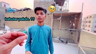 Thumbnail: Aaj Do Kabutar Pakar KY Dikhao 😡 @armanbirds 