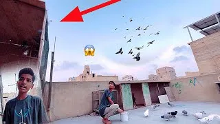 Thumbnail: Humne Pehli Bazi Marli Vip Shikaar Agaya😲😱🤯 @armanbirds  