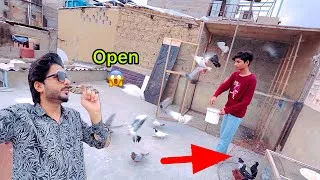 Thumbnail: Aaj Sare Kabootar Khul😳🤯🤗🥴