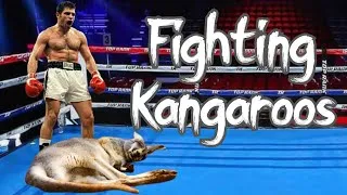 Thumbnail: Humans Are Tougher Than Kangaroos