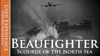 Thumbnail: Bristol Beaufighter | Scourge of the North Sea