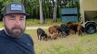 Thumbnail: They Found My Secret Stash!