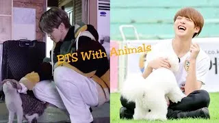 Thumbnail: BTS with animals funny moments