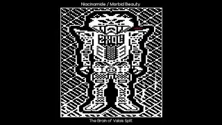 Thumbnail: Niacinamide / Morbid Beauty: The Brain of Valais Split (aNr03) 06/24/22 #noise #experimentalmusic