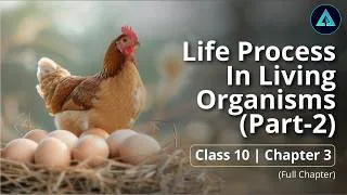 Thumbnail: Life Processes in Living Organisms Part 2 | Std 10 | Science 2 | Chapter 3 | Maharashtra State Board
