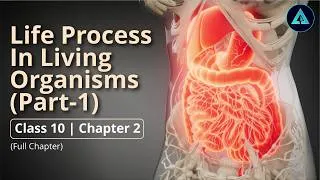 Thumbnail: Life Processes in Living Organisms Part 1 | Std 10 | Science 2 | Chapter 2 | Maharashtra State Board