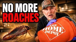 Thumbnail: KILL ALL ROACHES NOW!