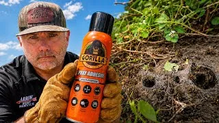 Thumbnail: 5,000 Yellow Jackets vs Gorilla Glue!