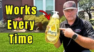 Thumbnail: Secrets To a Greener Lawn ALL Summer (EASY DIY)