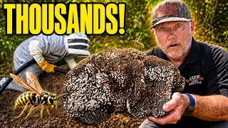Thumbnail: MASSIVE Yellow Jacket SUPER NEST Removal!