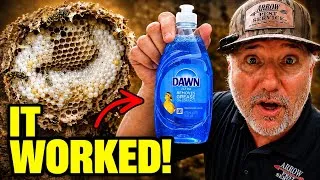 Thumbnail: Dish Soap vs Yellow Jackets-Real Test Results!