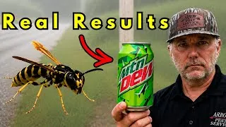 Thumbnail: KILL Yellowjackets & Wasps! (EASY DIY)