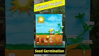 Thumbnail: Seed Germination Science Project