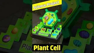 Thumbnail: Plant cell science project