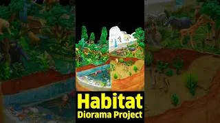 Thumbnail: Biodiversity model for science exhibition