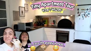 Thumbnail: Tiny Apartment Tour ft. Coco our puppy attacking me | 42m²/452ft²