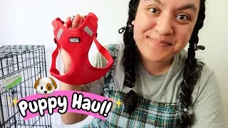 Thumbnail: Preparing For Our New Greek Puppy! Haul & VLOG