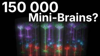 Thumbnail: Your Brain Is 150,000 Mini-Brains