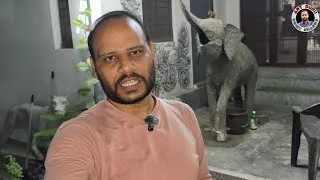 Thumbnail: आप को दिखाते है अपना गार्डन 🌵 🤩/Daily art vlog / Mohit Sharma 