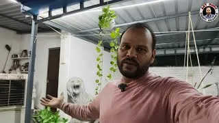 Thumbnail: कैसे बनाते है हाथी का स्कल्पचर 🤔 full tutorial vlog by Mohit Sharma 