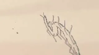 Thumbnail: Encounter creation