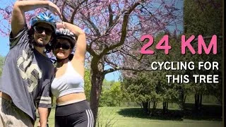 Thumbnail: Cardio Doesn’t Belong in a Gym | 24 KM Cycling For One Tree 🌸