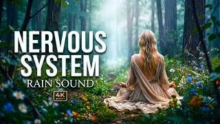 Thumbnail: NERVOUS SYSTEM CALM | Deep Somatic Downregulation & Flush Stress Hormones (Rain Sound) (4K)