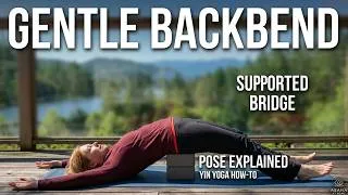 Thumbnail: Supported Bridge Pose Explained | Gentle Yin Yoga Backbend with Diana Batts