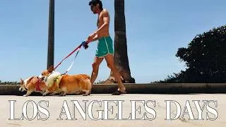 Thumbnail: To Los Angeles! Modeling, Jimmy Kimmel, and Days at the Beach Vlog