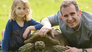 Thumbnail: "Sulcata Tortoise Habitat Setup | घर पर सही Environment कैसे बनाएं?"Sulcata tortoise enclosure"