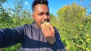 Thumbnail: අතෑරපු ඇපල් වත්තකට පැන්නා 🍎😉 | Green Apple Farm In ITALY 🇮🇹 | DAY IN LIFE VLOG SINHALA