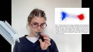 Thumbnail: the Whimsy Paradox and Sociolinguistic Collapse