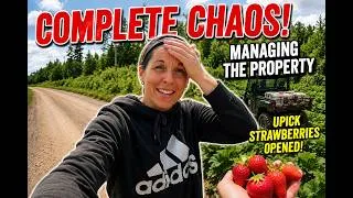 Thumbnail: Complete Chaos! My Busiest Week of the Summer So Far!