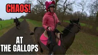 Thumbnail: CHAOS AT THE GALLOPS! | CRAZY HORSES AND GALE FORCE WINDS || VLOG 214