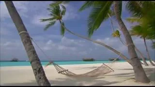 Thumbnail: 💜 Paradise Revisited 💜 What A Gorgeous Weekend 💜