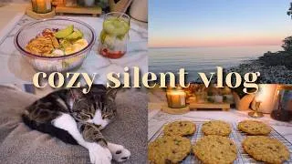 Thumbnail: cozy day in my life as a slow living introvert | silent vlog