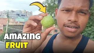 Thumbnail: Exploring Amazing Fruits  | Fresh & Natural Fruit Vlog