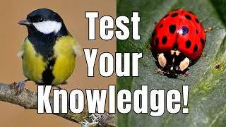 Thumbnail: Can You Answer These Wildlife Questions Correctly?