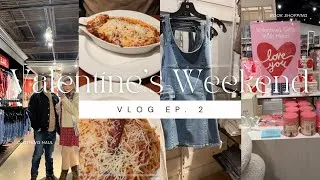 Thumbnail: ep. 3: valentine's day weekend vlog | clothing haul, concert & book shopping