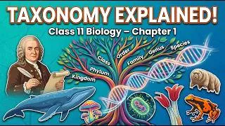 Thumbnail: Explanation of Living World Class 11 Biology Chapter 1 Classification