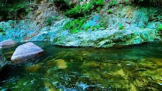 Thumbnail: Calming Forest Stream ASMR: Fall Asleep Fast with Peaceful Water Noise