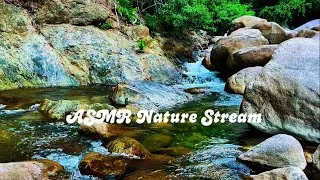 Thumbnail: ASMR Nature Stream: Relaxing Water Sounds for Deep Sleep and Meditation