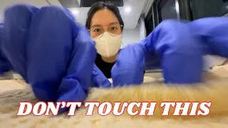Thumbnail: No Studio 💥 No Mic 💥 Just Hospital Chaos (FAST & AGGRESSIVE ASMR)