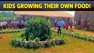 Thumbnail: This School Doesn't Buy Veggies, The Learners Plant Them/ Urban Farming In Uganda 🇺🇬#urbanfarming 
