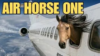 Thumbnail: Owning A Racehorse Costs A Fortune. They Even Have Their Own Private Jet.
