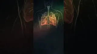 Thumbnail: Deep Breathing "Breathe Easier" (Frequency, Morphic Field) 