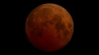 Thumbnail: The Total Lunar Eclipse from Atlantic Canada... November 8th
